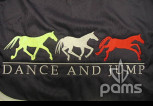 pams_klub--sdruzeni_dance-and-jump-na-deky-pro-kone_42.jpg : Dance and jump na deky pro koně