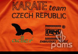 pams_klub--sdruzeni_karate-team-czech-republic--adler--pams_73.jpg : Karate team Czech republic, Adler, Pams