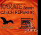 pams_klub--sdruzeni_karate-team-czech-republic--adler--pams_73.jpg : Karate team Czech republic, Adler, Pams