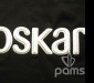 pams_technologie_oskar-3d_74.jpg : Oskar 3D