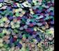 pams_vyroba_barevne-kytky-nazehlovaci_92.jpg : barevné kytky nažehlovací