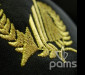 pams_vysivani-detaily_zlata-ratolest-uniforma-pilotu_75.jpg : zlatá ratolest uniforma pilotů