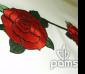 pams_vysivani_bordura---ruze-detail_48.jpg : bordura - růže,detail