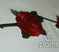 pams_vysivky_kvet-ruze-na-bile-kozence_27.jpg : květ růže na bílé kožence