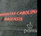 pams_vysivani-detaily_universitas-carolina-pragensis_45.jpg : Universitas Carolina Pragensis