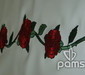pams_vysivky_kvety--ruze-na-bile-kozence_84.jpg : květy  růže na bílé kožence